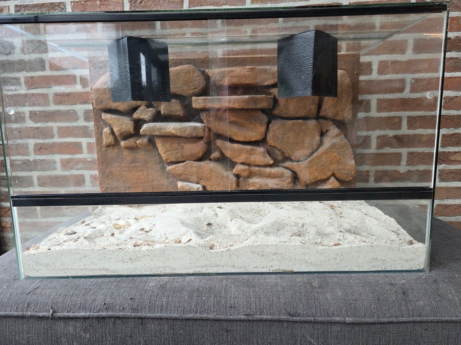 Terrarium met achterwand, Ophalen, Gebruikt, Terrarium of Paludarium