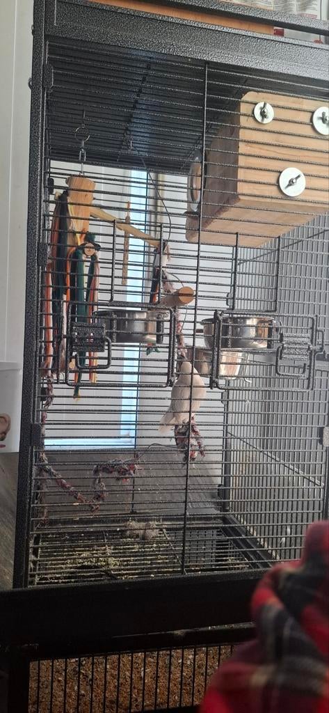 Grote papegaaienkooi dringend weg!, Ophalen, Vogelkooi