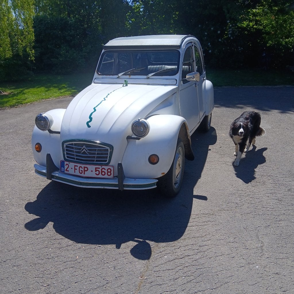 citroen 2cv, Auto's, Citroën, Particulier, 2CV, Benzine, Berline, 4 deurs, Handgeschakeld, Overige kleuren, Voorwielaandrijving