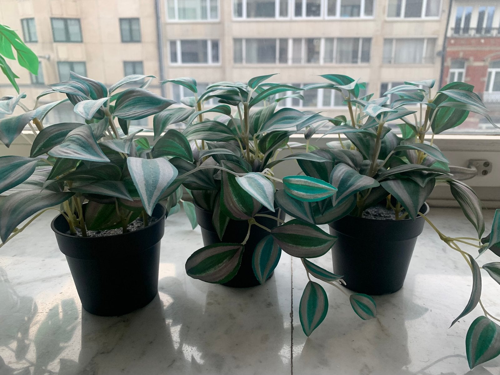 Trois pots de fleurs, Enlèvement
