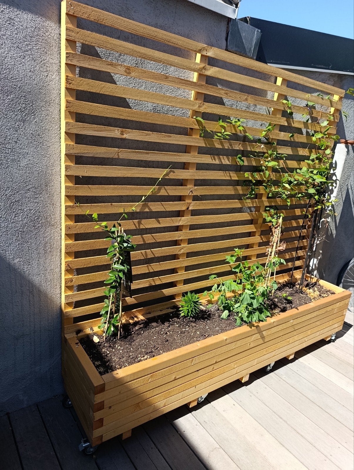 Plantenbak met klimrek te koop, Tuin en Terras, Ophalen