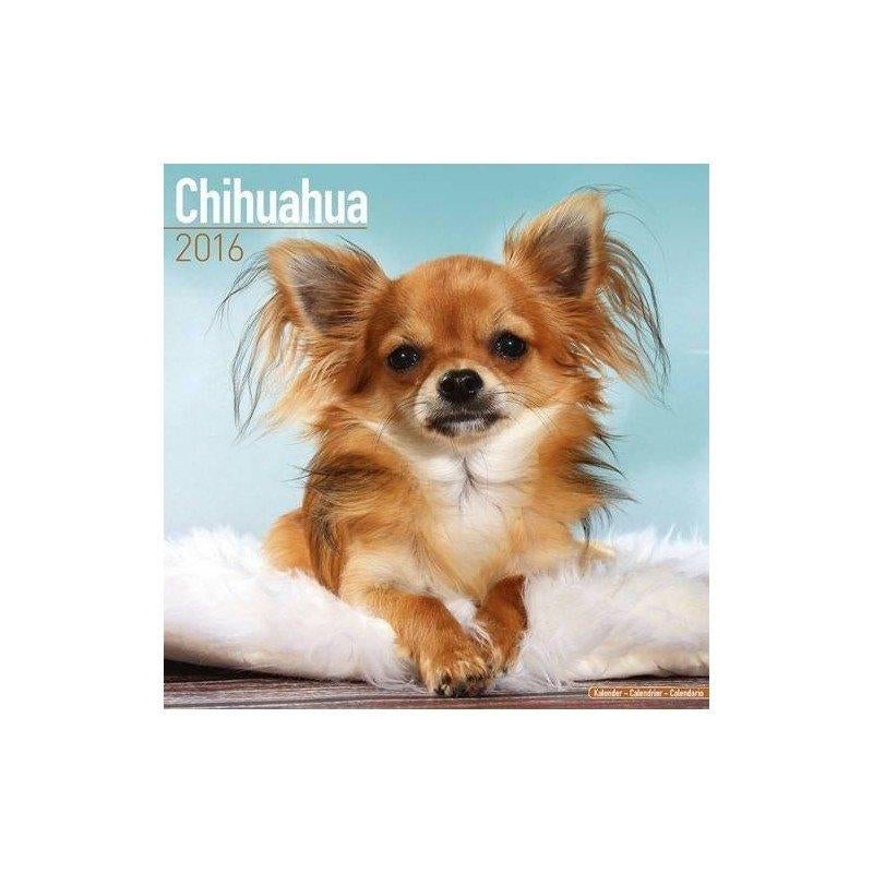 Calendrier Chihuahua 2016, Enlèvement ou Envoi, Calendrier annuel, Neuf