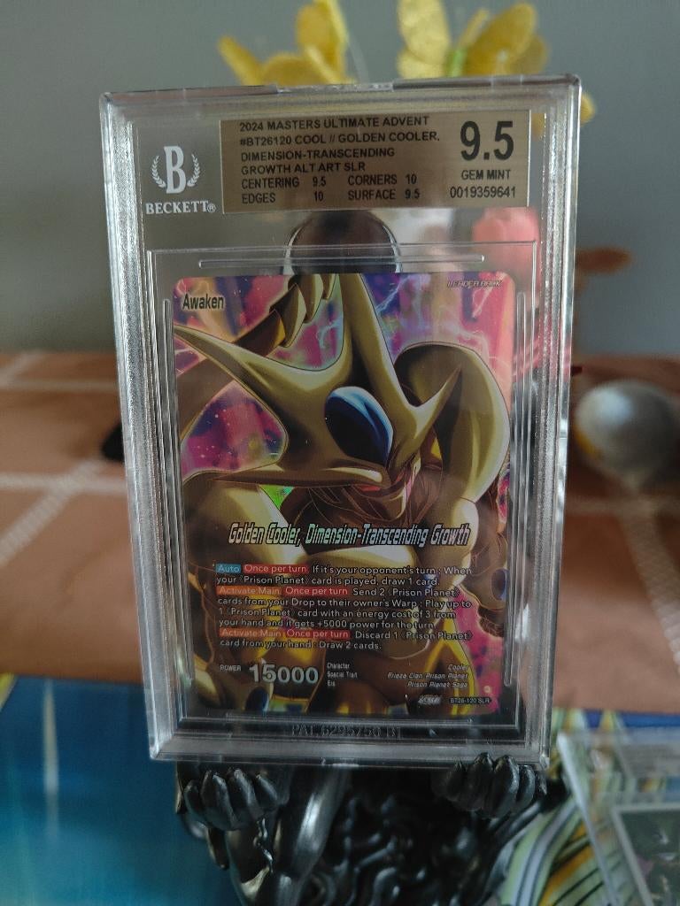 Golden cooler, dimension-transcending growth BGS 9,5, Ophalen of Verzenden