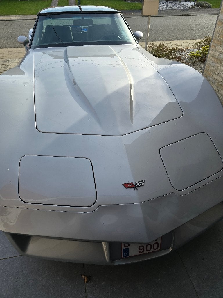 Corvette C3 Crossfire 1982 5.7 v8, foto 4
