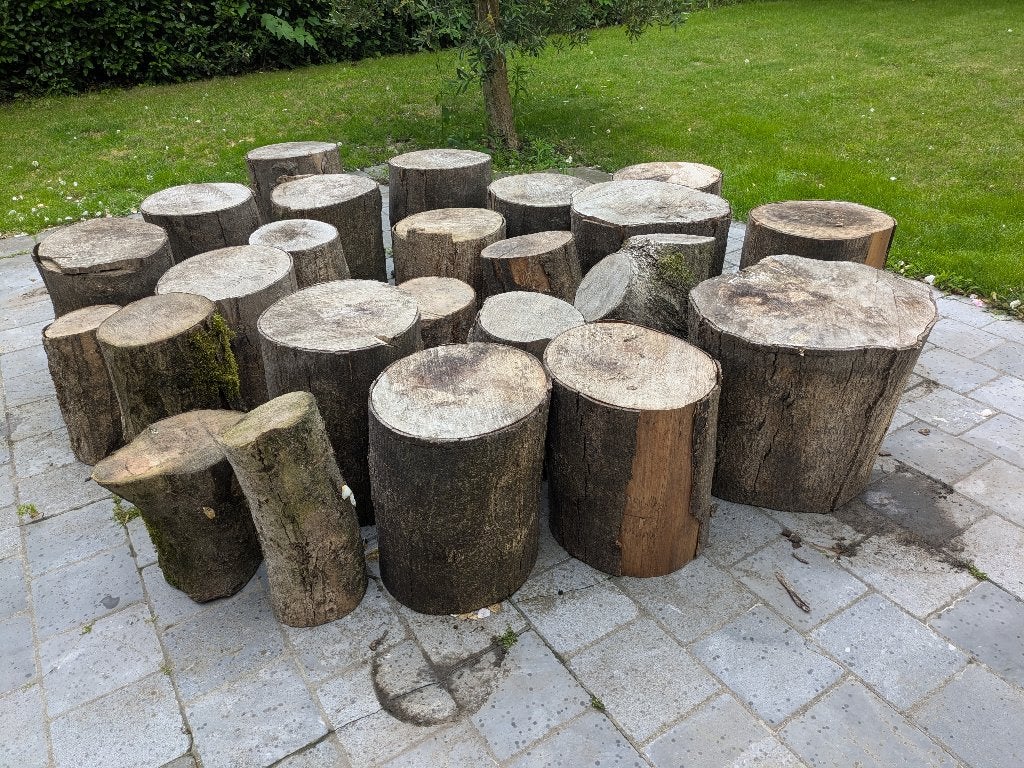 voorgezaagd brandhout, Enlèvement, Autres essences de bois, Troncs d'arbres