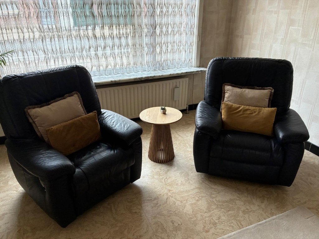 twee zetels, Maison & Meubles, Canapés | Salons, Enlèvement, Utilisé, Une personne, Cuir