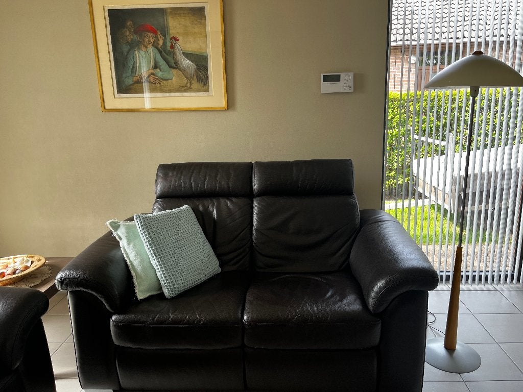 Salon, Ophalen, Gebruikt, Leer, Modern