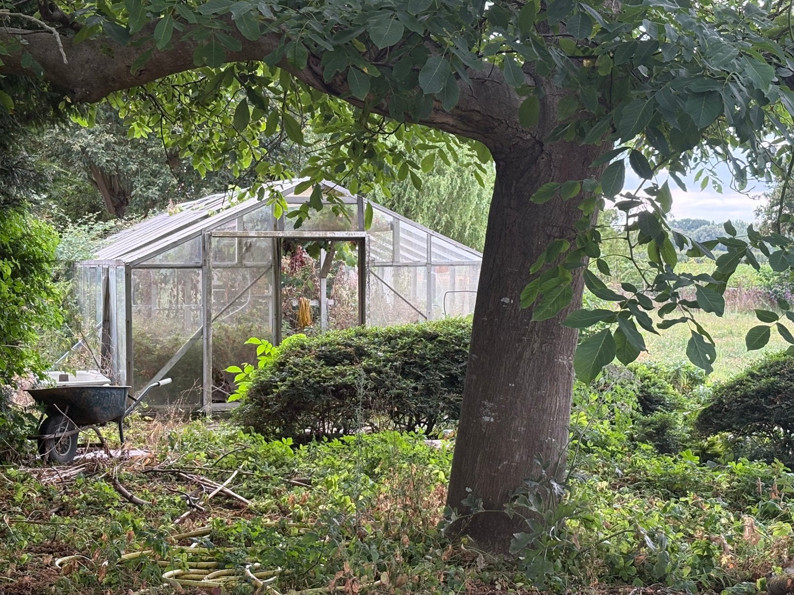 Gratis kweekkas 10m x 4m, Tuin en Terras, Kassen, Ophalen, Gebruikt, Kweekkas, Glas