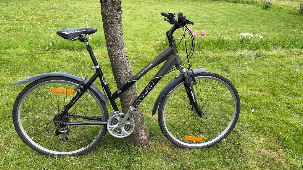 Thompson Cross Master, Fietsen en Brommers, Fietsen | Dames | Sportfietsen en Toerfietsen, Gebruikt, Overige merken, Meer dan 20 versnellingen