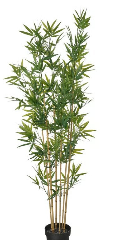 Set kunstplanten, Ophalen, Met pot of vaas, 160 cm, Kunststof
