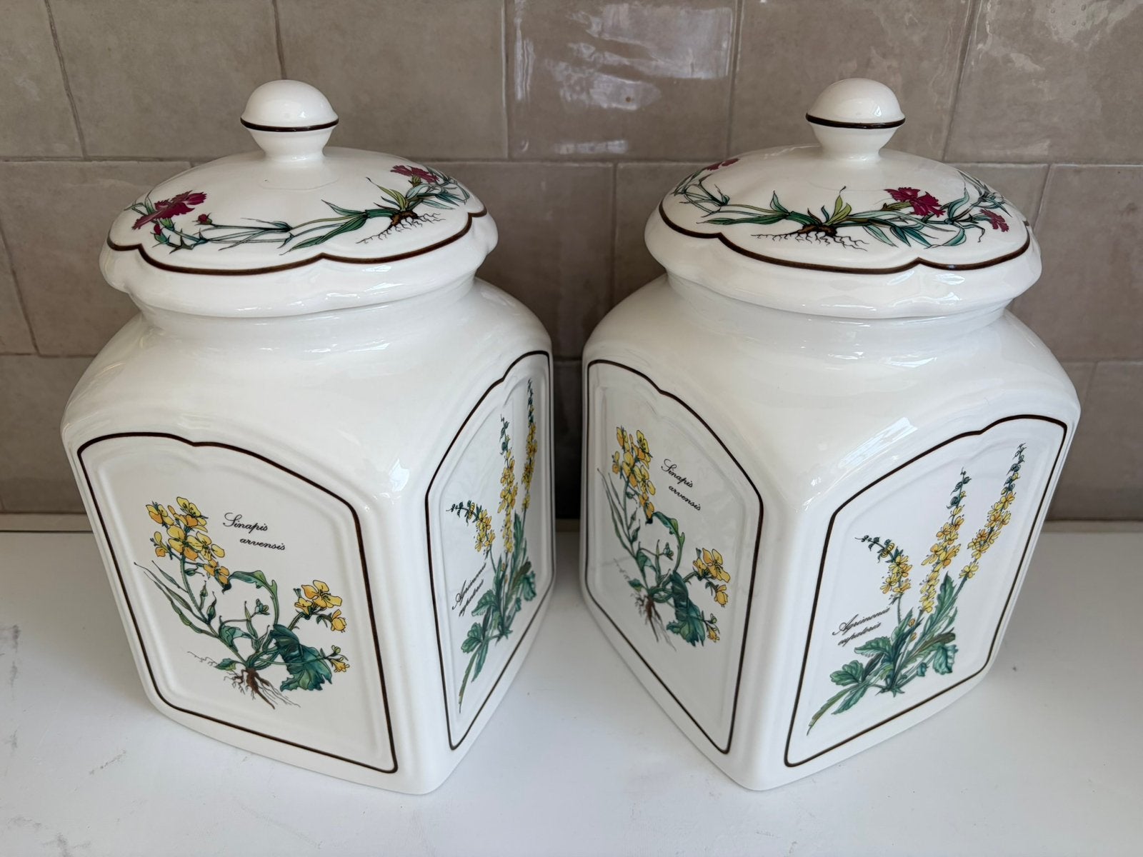 Bocaux de conservation Villeroy & Boch Botanica, Antiquités & Art, Enlèvement ou Envoi