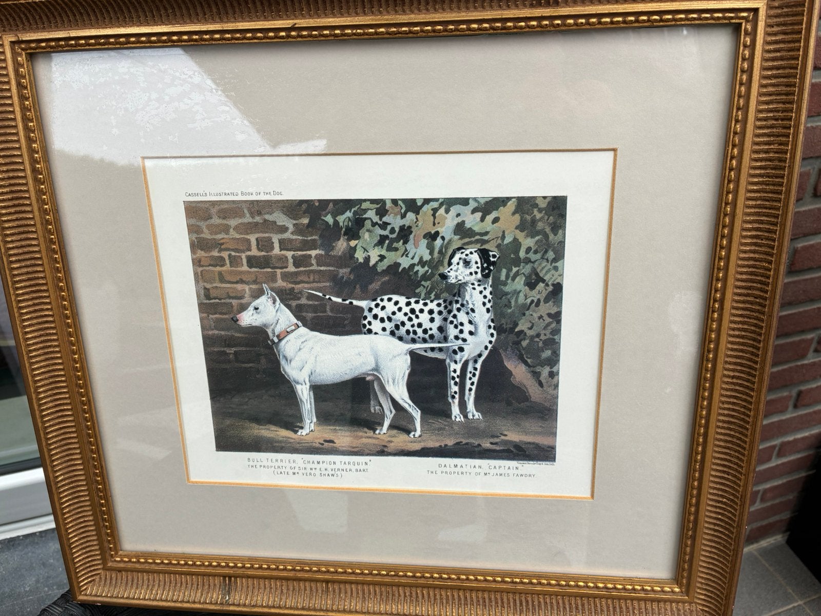 2 prachtige kaders met honden, Antiek en Kunst, Ophalen