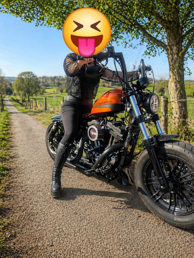 Harley Davidson Sportster Forty Eight Special, Motoren, Motoren | Harley-Davidson, Particulier