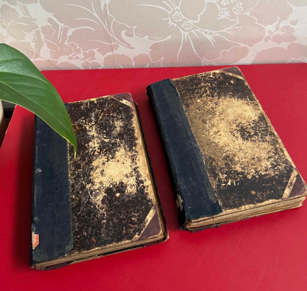 Antieke Boeken "Hendrik Conscience" (2 stuks), Ophalen, Hendrik Conscience