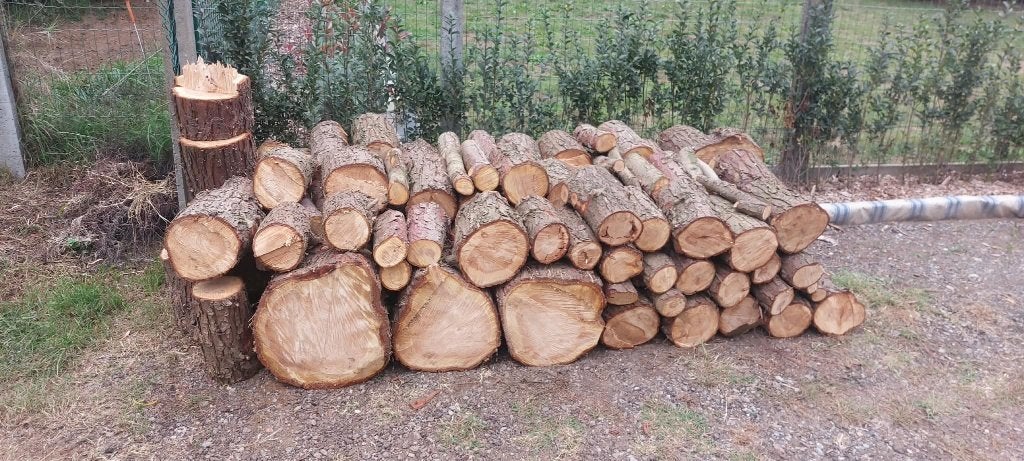 Brandhout Den, Tuin en Terras, Minder dan 3 m³, Ophalen, Overige houtsoorten, Blokken