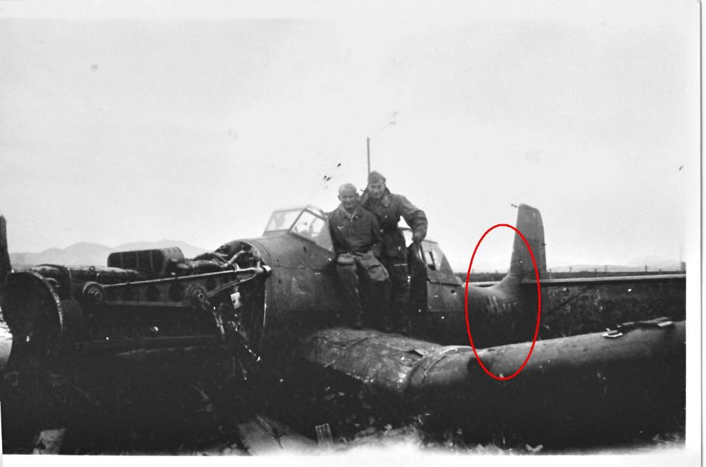 photo originale - Junkers Ju 87 Stuka - Luftwaffe WW2, Envoi, Armée de l'air, Photo ou Poster