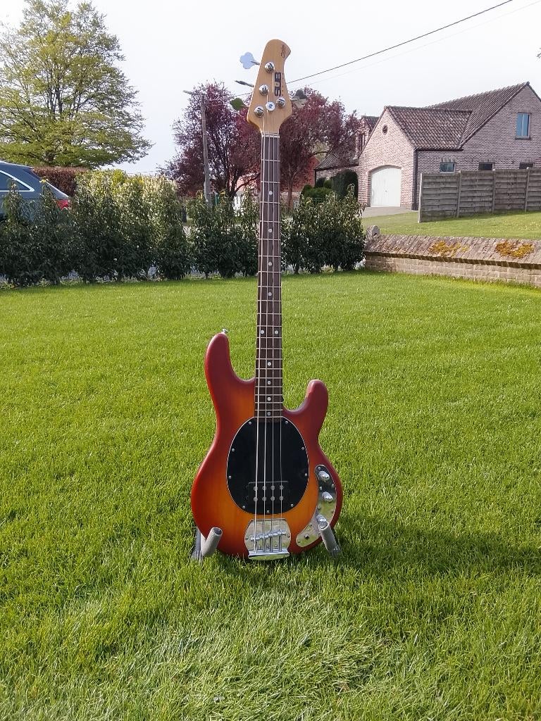 Sterling by Music Man SUB StingRay Ray4, Musique & Instruments, Enlèvement, Neuf, Électrique