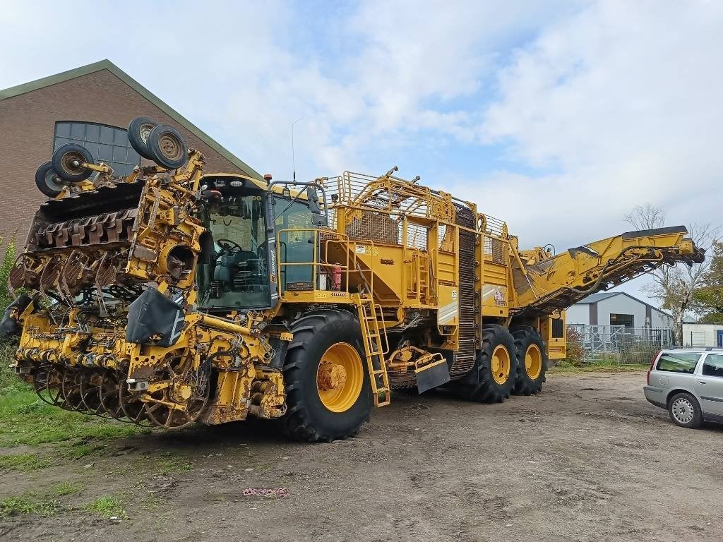 Ropa tiger 5c beet harvester bieten rooier (bj 2016), Overige, Oogstmachine