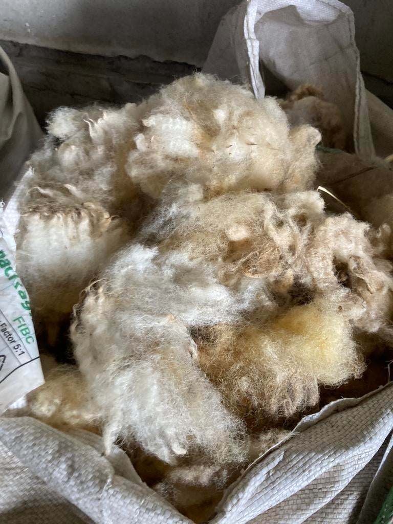Schapenwol ongewassen rechtstreeks van het schaap, Hobby en Vrije tijd, Spinnewielen en Spinnen, Ophalen, Zo goed als nieuw