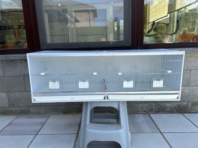 cage de vol pour canaris, Animaux & Accessoires, Oiseaux | Accessoires, Utilisé, Accessoires pour cage, Enlèvement