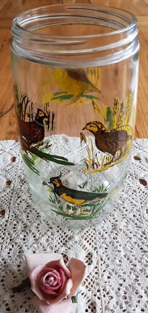 Glazen pot, auerhoen, snip, eend, fazant, kieviet, patrijs, Collections, Collections Animaux, Utilisé, Autres types, Oiseaux, Enlèvement ou Envoi