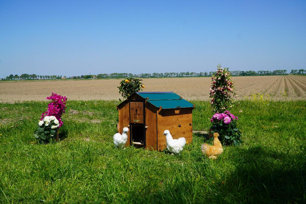 Trespa Kippenhok Cucciolotta | Mignon, Dieren en Toebehoren, Pluimvee | Toebehoren, Ophalen of Verzenden, Nieuw, Kippenhok of Kippenren