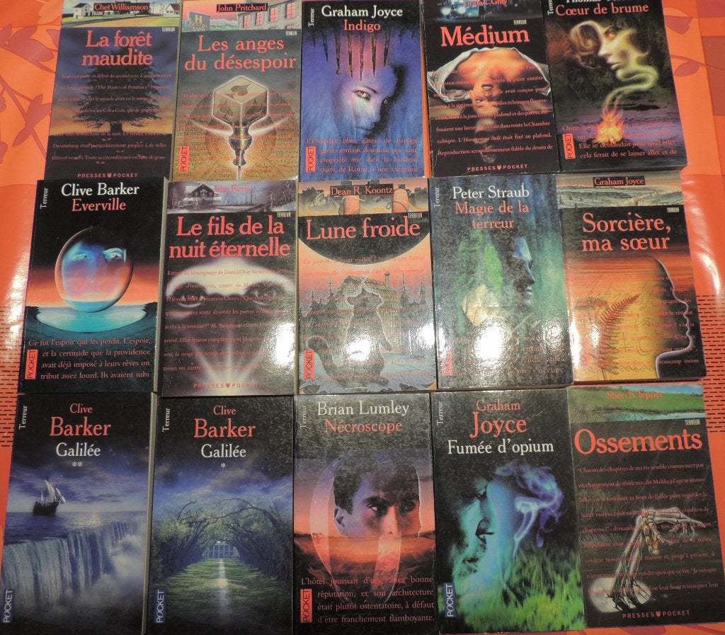Lot de 15 Marabout Pocket TERREUR, Livres, Envoi, Neuf