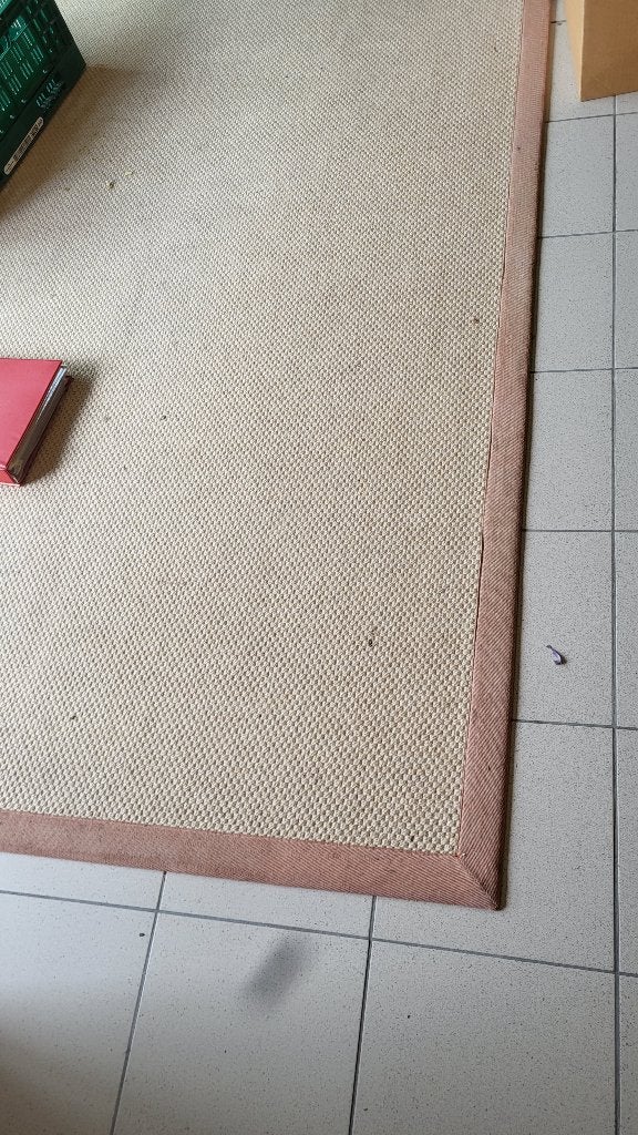 Groot afgeboord sisal tapijt, Ophalen, Gebruikt, 200 cm of meer, 200 cm of meer
