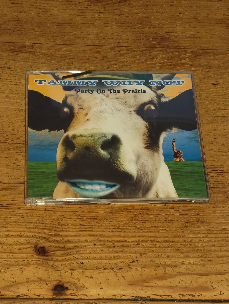 Maxi-Single (Cd) van Tammy Why Not, Cd's en Dvd's, Cd Singles, Ophalen of Verzenden, Gebruikt, Overige genres