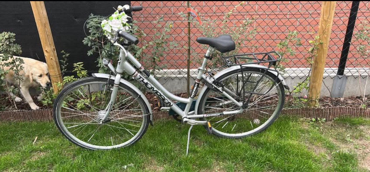 Thompson fiets dames, Fietsen en Brommers, Ophalen, Zo goed als nieuw