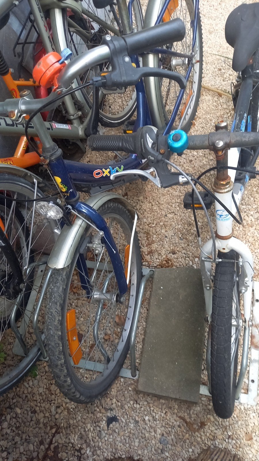 3 kinder fietsen