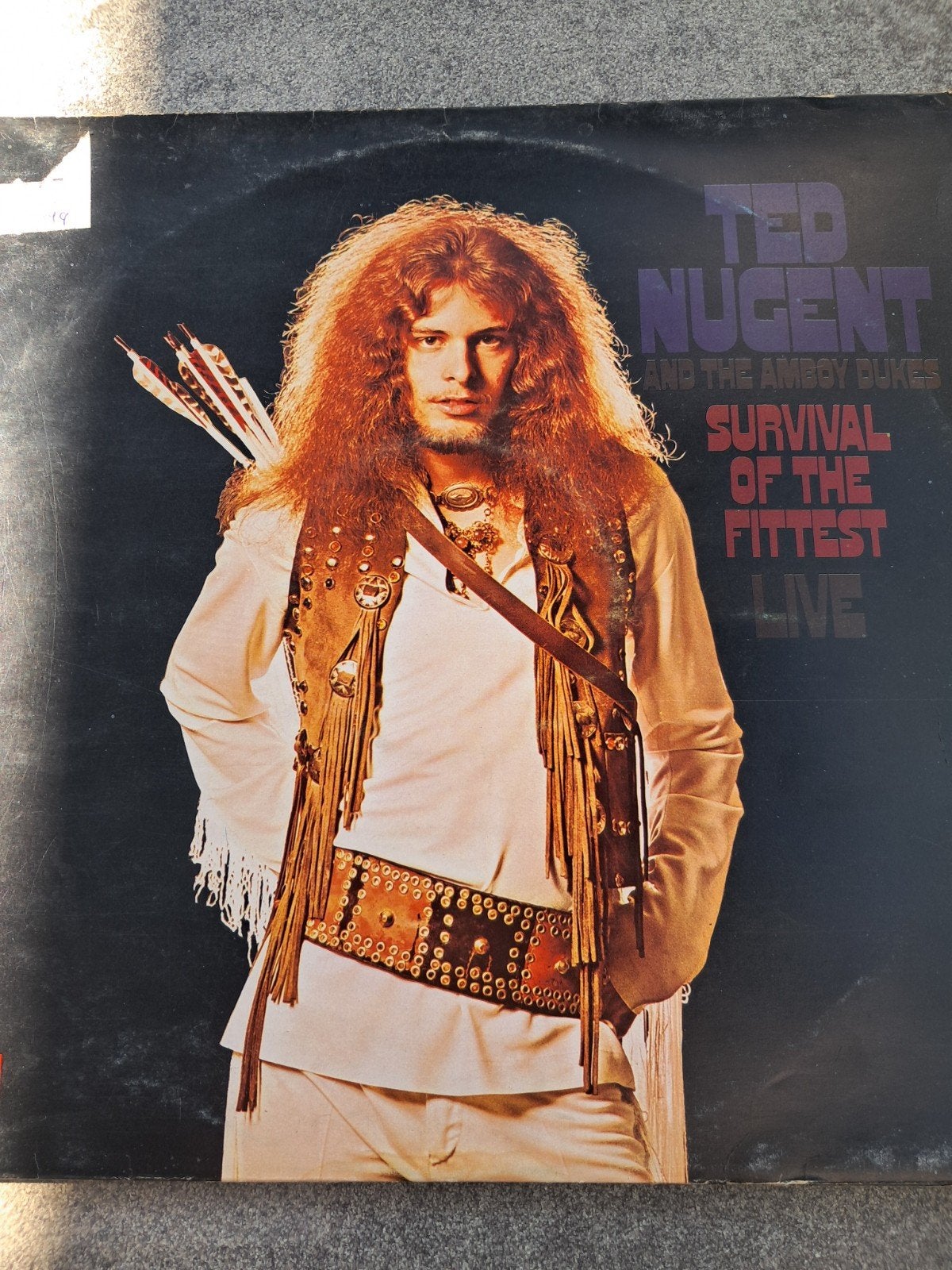 2 Lp Ted Nugent, Enlèvement ou Envoi, Utilisé, Hard rock, LP