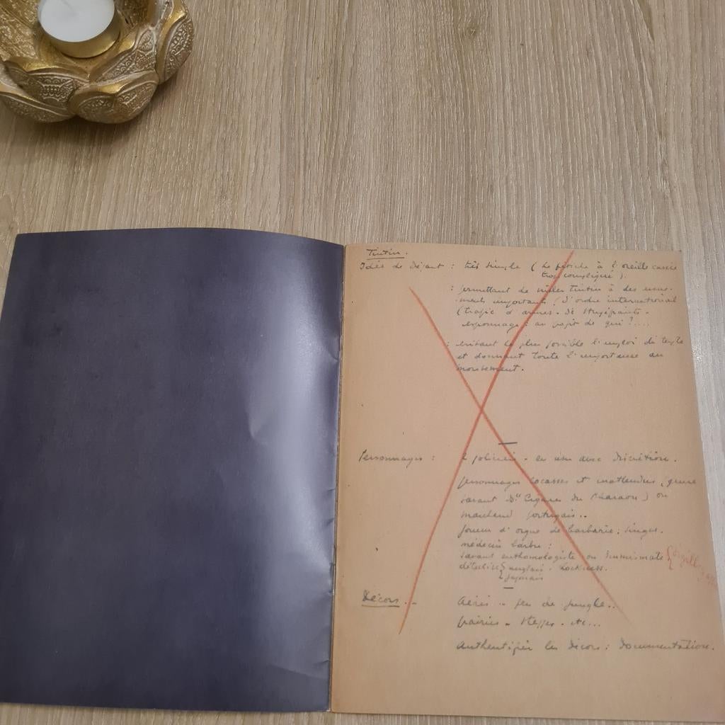 Tintin fac simile cahier personnel de Hergé, Enlèvement ou Envoi, Tintin