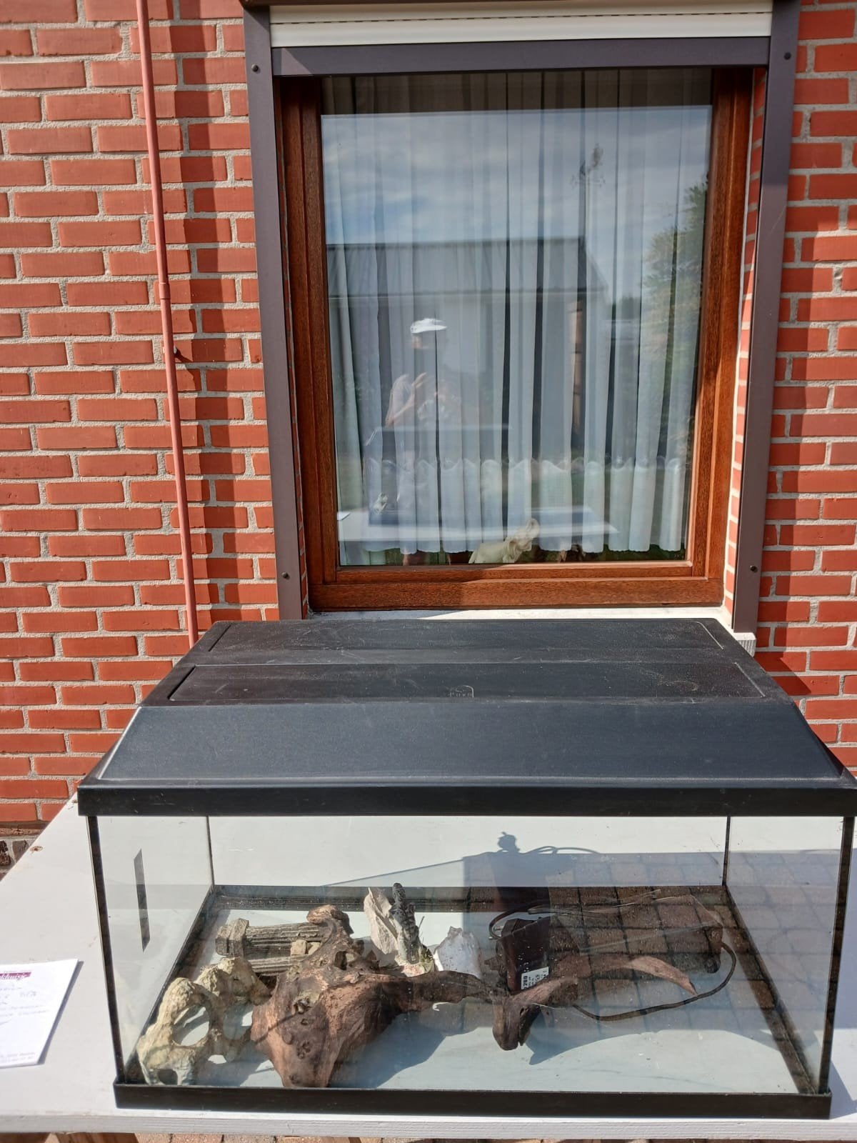 Aquarium, Enlèvement, Comme neuf, Moins de 75 cm, Moins de 60 cm