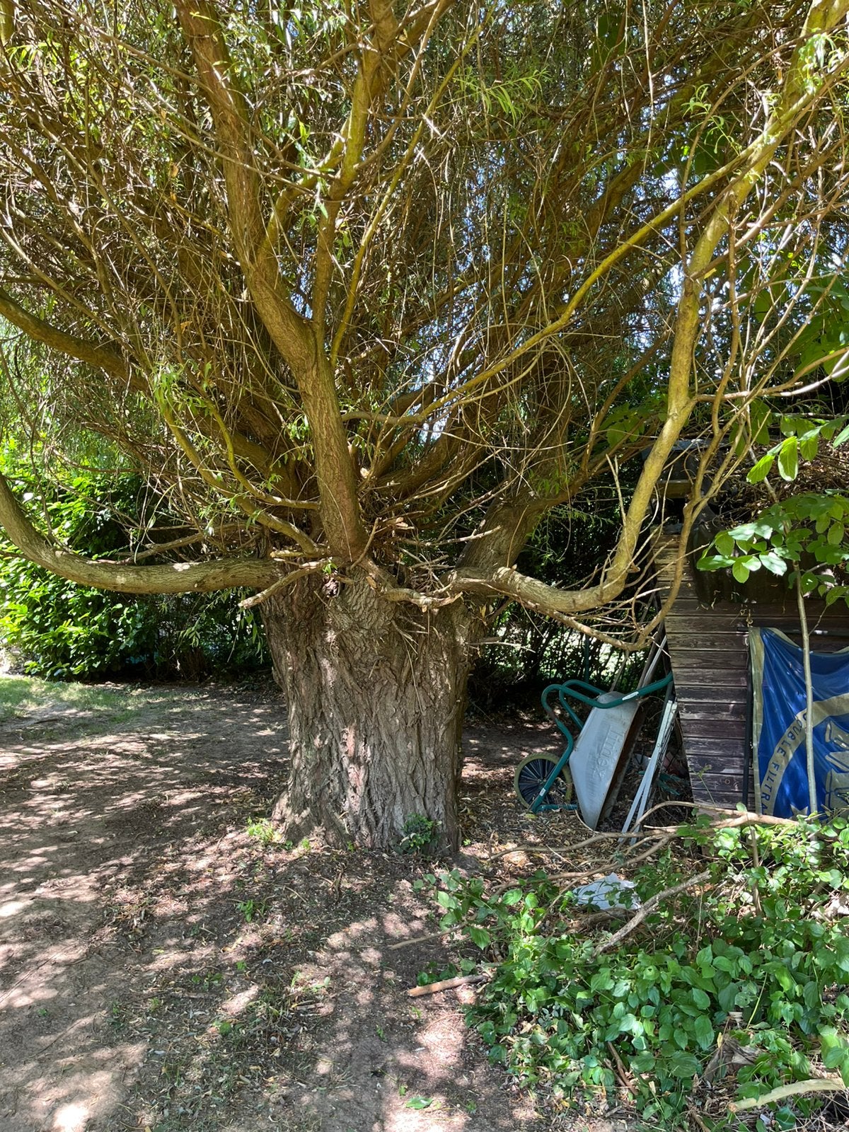 Gratis brandhout, Tuin en Terras, Brandhout, Ophalen, Overige houtsoorten