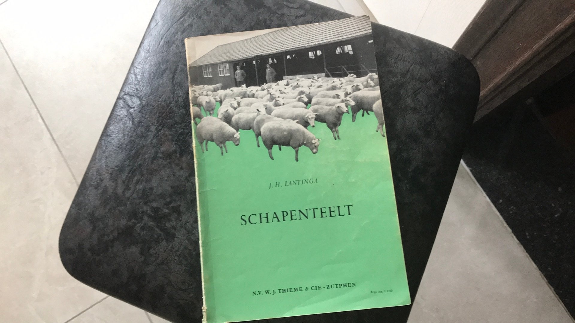 Hollandse schapenteelt, Livres, Nature, Enlèvement ou Envoi, Comme neuf