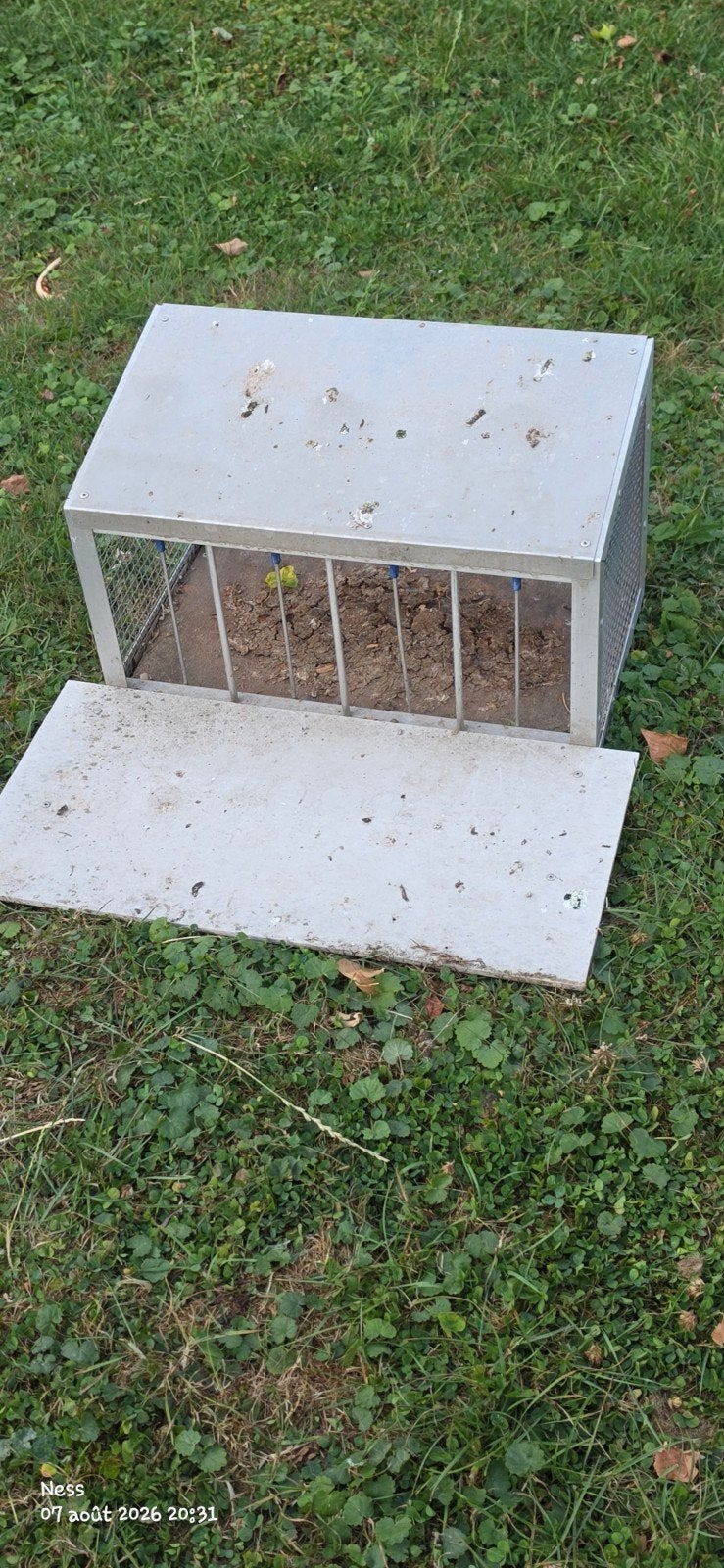 2 Spoutniks pour pigeonnier, Enlèvement