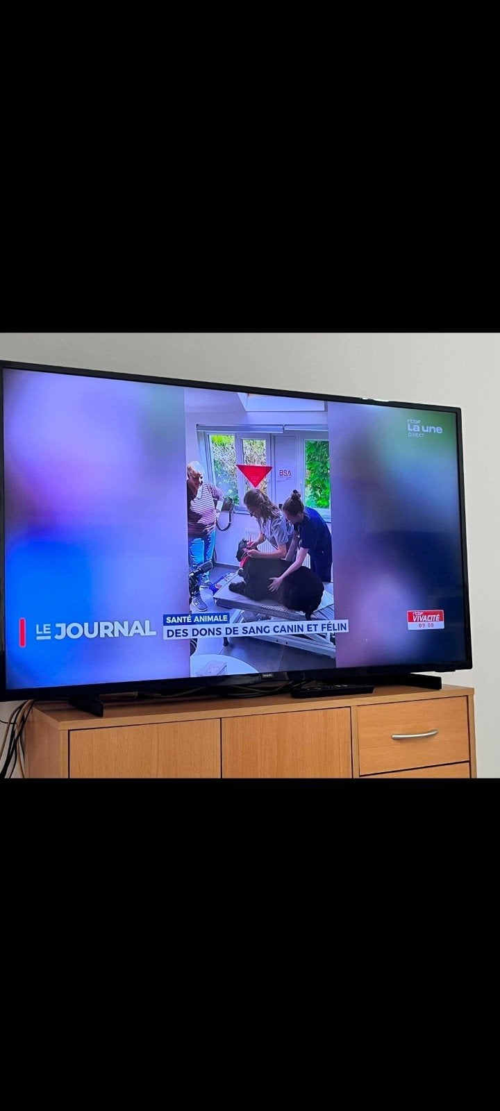 Tele 4 k philips 50 pouces, Audio, Tv en Foto, Televisies, Ophalen of Verzenden, Philips