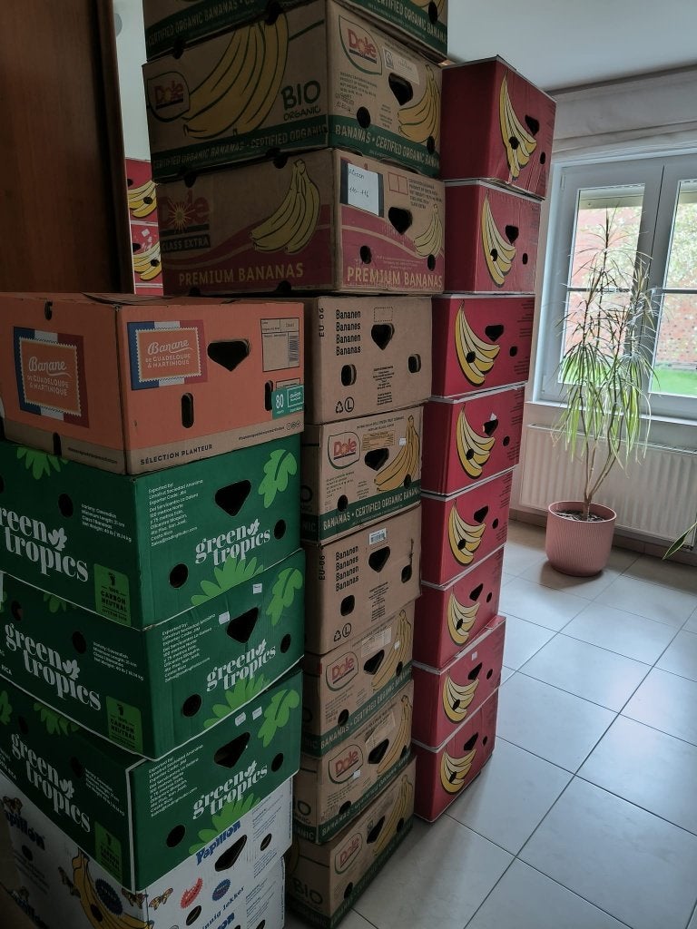 70+ bananendozen, Ophalen, Doos, 40 tot 60 cm, 50 tot 75 cm