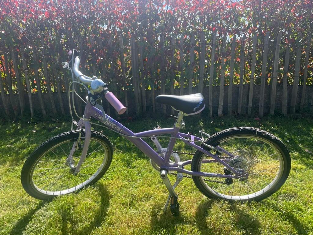 Vélo fille Decathlon, Ophalen, Gebruikt, Velgrem, Decathlon