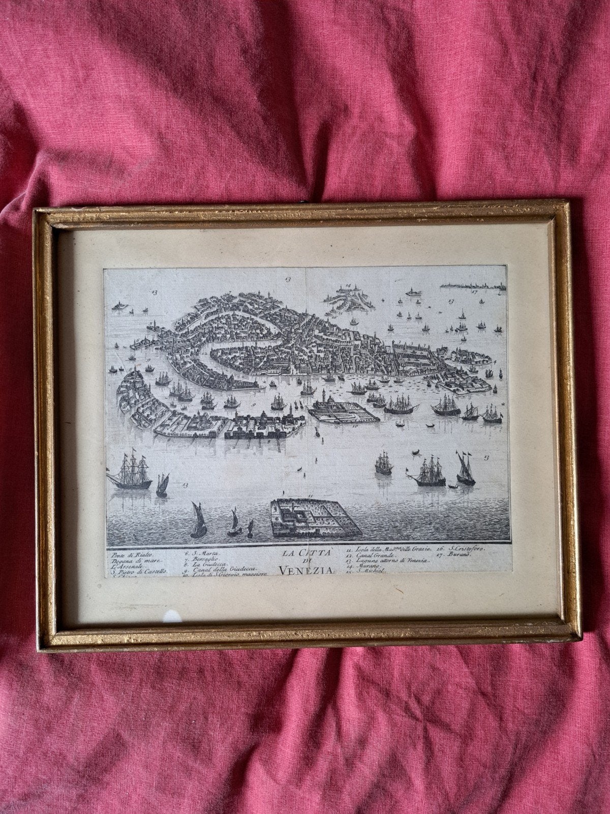 LA CITTA DI VENEZIA, Enlèvement, Reproduction