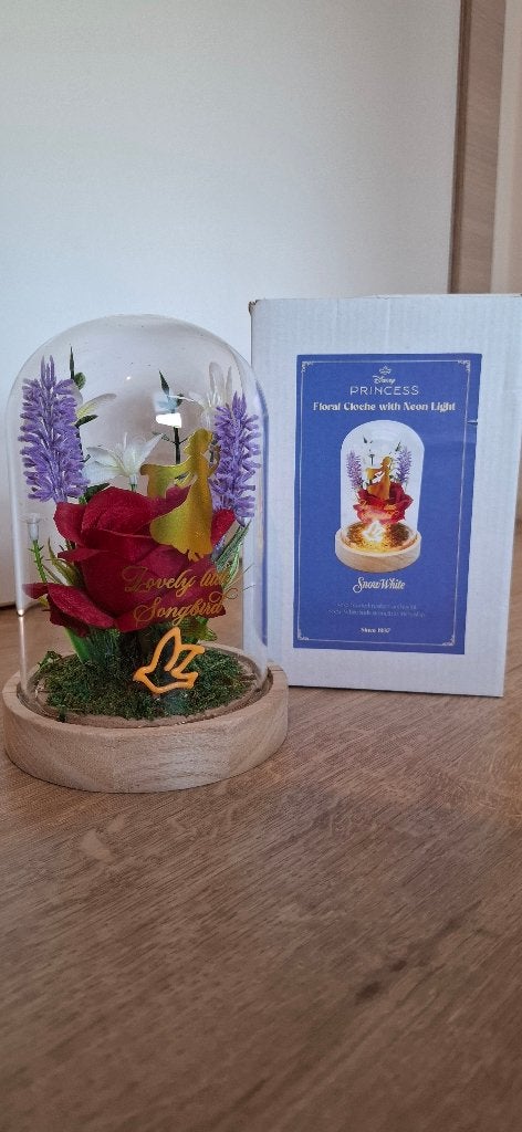 Disney Princess decolamp, Ophalen, Sneeuwwitje of Doornroosje, Nieuw, Overige typen