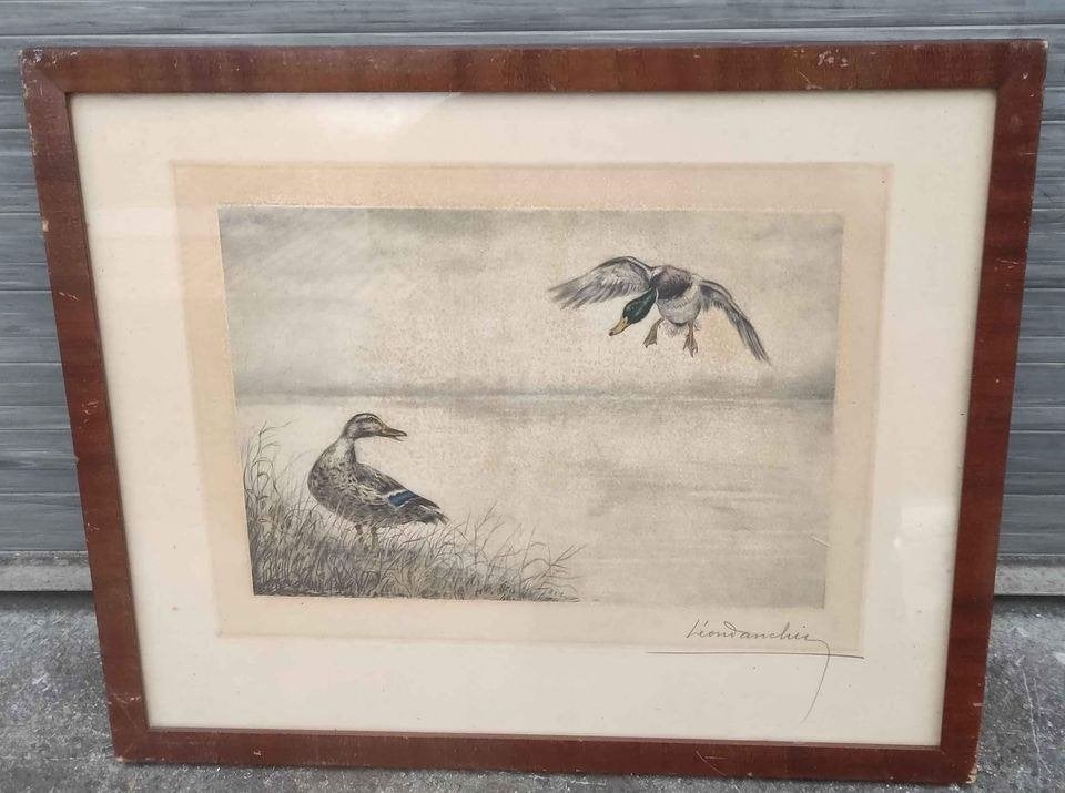 Gravure canard signe Léon danchin, Antiek en Kunst, Kunst | Etsen en Gravures, Ophalen of Verzenden, Gravure