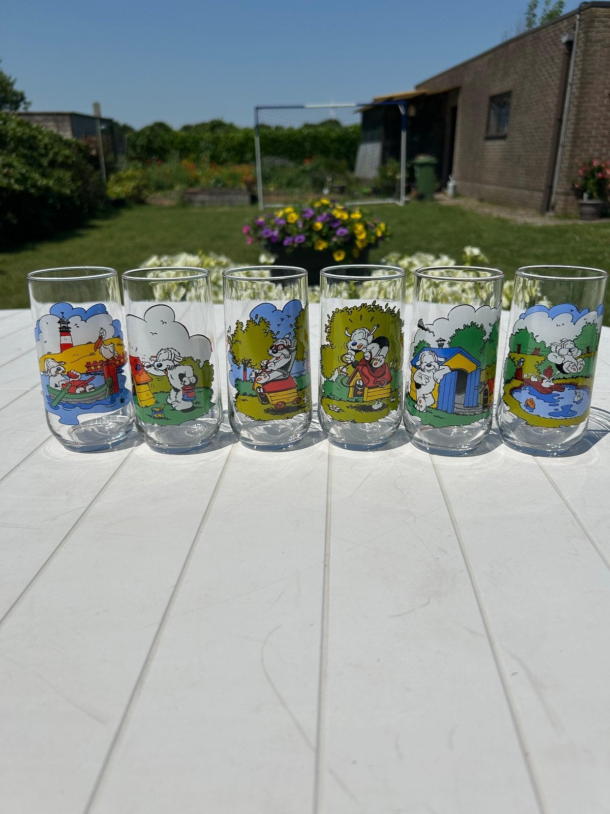 6 delige glazen set Samson 1990, Ophalen