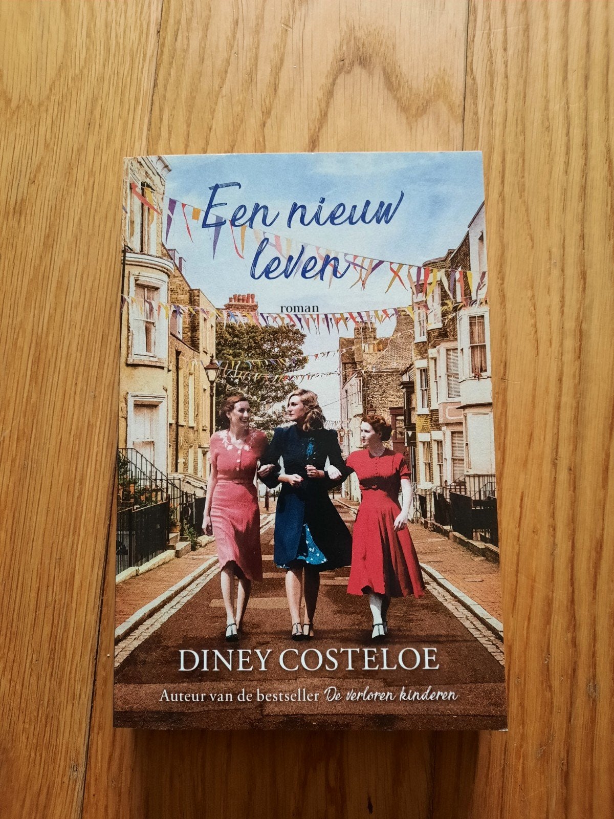 Roman Een nieuw leven. Diney Costeloe., Ophalen