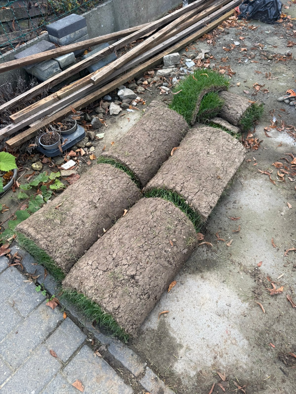 Gratis gras met grond, Ophalen, Gras
