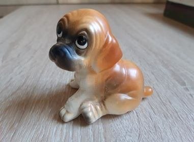 Lief hondje, Collections, Enlèvement ou Envoi