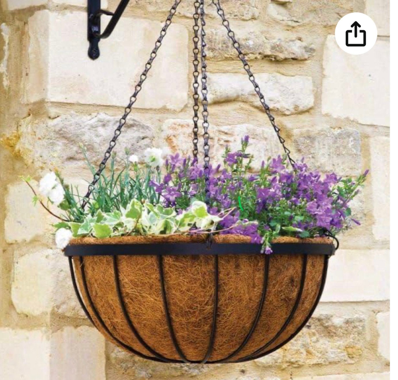 Panier de fleurs GRATUIT, Jardin & Terrasse, Enlèvement, Utilisé