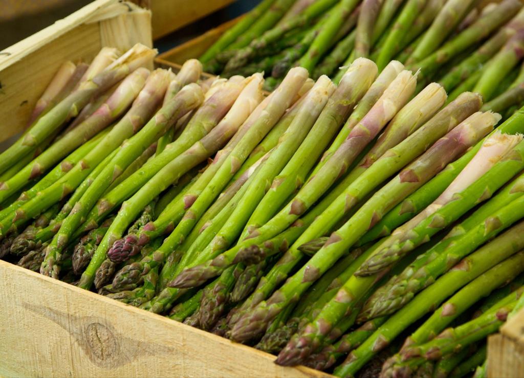 Restes du potager, asperges fraîches, Enlèvement ou Envoi