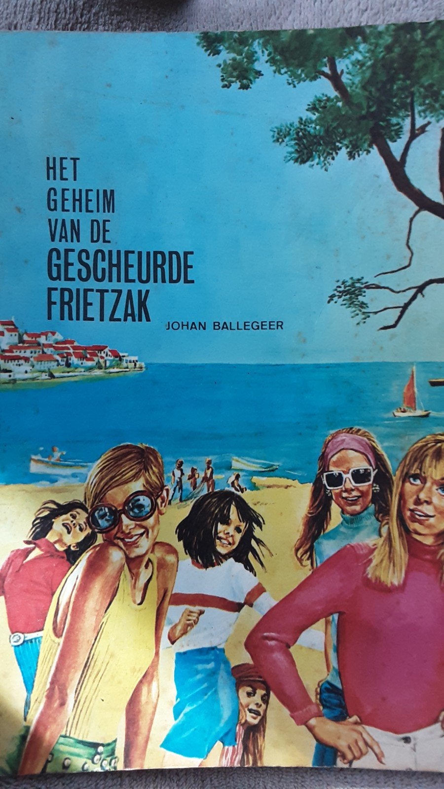 het geheim van de gescheurde frietzak , Johan Ballegeer,1969, Ophalen of Verzenden